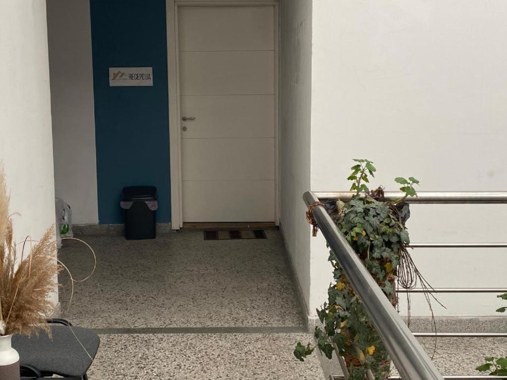 Aleksei Apartmani 베오그라드 외부 사진